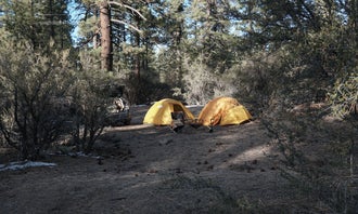 Holcomb Valley Climbers Camp