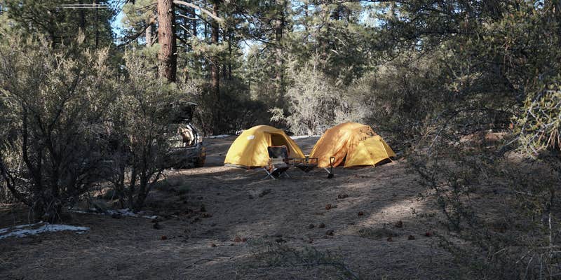 Camper submitted image from Holcomb Valley Climbers Camp