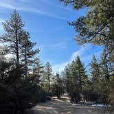 Review photo of Holcomb Valley Climbers Camp by seth B., April 25, 2022