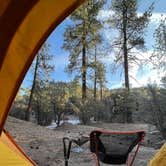 Review photo of Holcomb Valley Climbers Camp by seth B., April 25, 2022