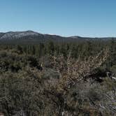 Review photo of Holcomb Valley Climbers Camp by seth B., April 25, 2022