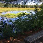 Review photo of Pawtuckaway State Park Campground by Rachel P., July 13, 2018