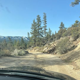 Guys stop posting pictures of your dogs and family. We want to see pictures of the campground the nature as well as the amenities and so on so forth. Here’s a picture of one of the dirt road that leads to the camp that was wild. Not on the map