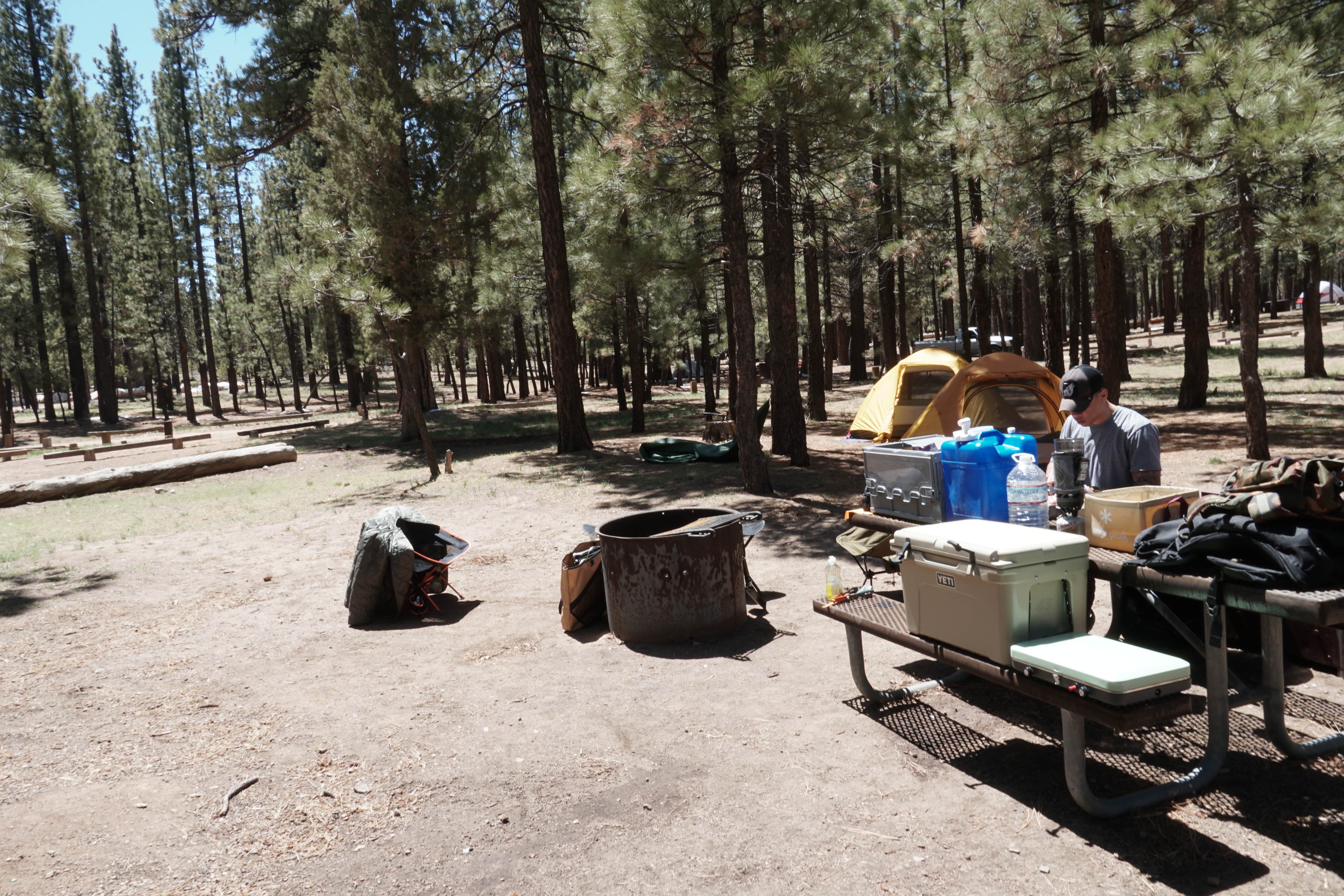 Camper submitted image from Holcomb Valley Campground - 4