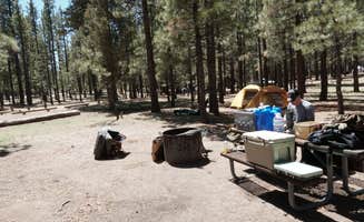 seth B.'s photo at Holcomb Valley Campground near Fawnskin, CA