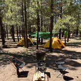 Review photo of Holcomb Valley Campground by seth B., April 25, 2022