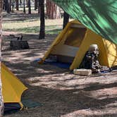 Review photo of Holcomb Valley Campground by seth B., April 25, 2022