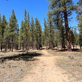 Review photo of Holcomb Valley Campground by seth B., April 25, 2022