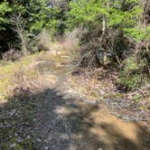 Review photo of Dolly Sods Backcountry by Jacob , April 25, 2022