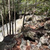 Review photo of Dolly Sods Backcountry by Jacob , April 25, 2022