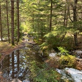Review photo of Dolly Sods Backcountry by Jacob , April 25, 2022