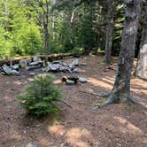 Review photo of Dolly Sods Backcountry by Jacob , April 25, 2022