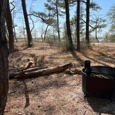 Review photo of Pine Tree Backcountry Site — Assateague Island National Seashore by Jacob , April 25, 2022