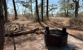Jacob's photo at Pine Tree Backcountry Site — Assateague Island National Seashore near Girdletree, MD