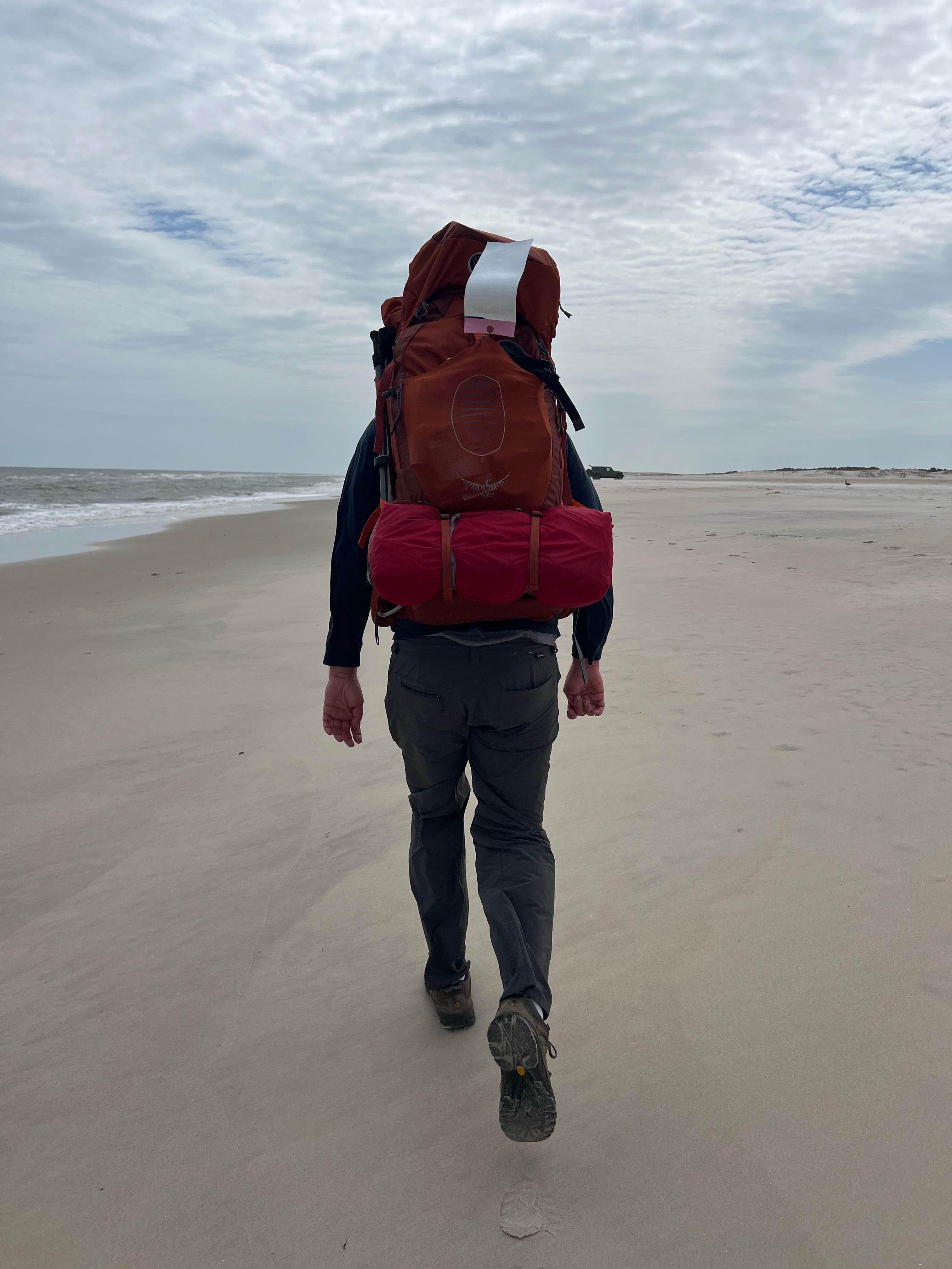 Camper submitted image from Pine Tree Backcountry Site — Assateague Island National Seashore - 5