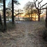 Review photo of Pine Tree Backcountry Site — Assateague Island National Seashore by Jacob , April 25, 2022