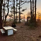 Review photo of Pine Tree Backcountry Site — Assateague Island National Seashore by Jacob , April 25, 2022