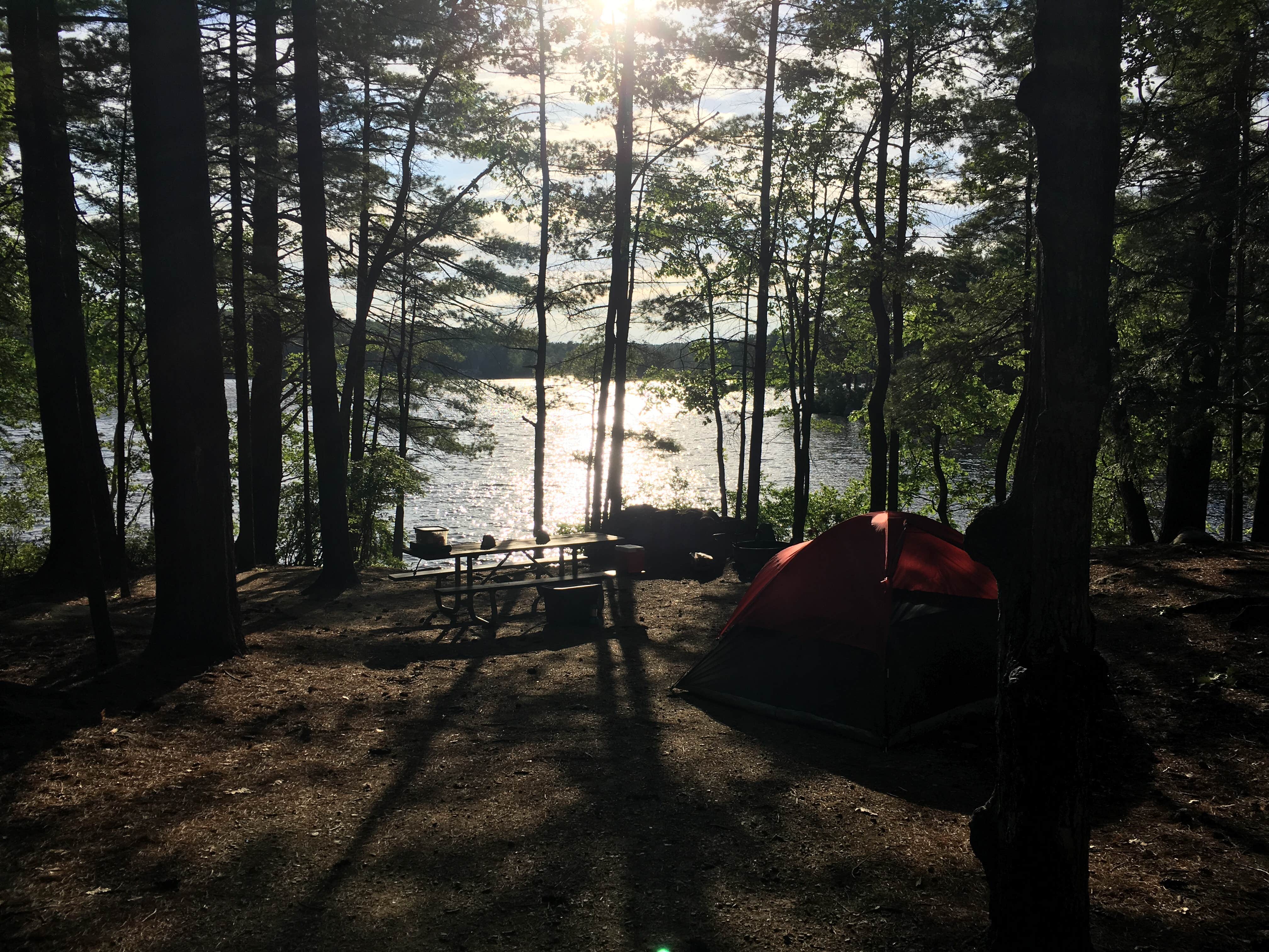 Rachel P.'s photo at Pawtuckaway State Park Campground near Raymond, NH