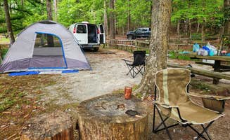 Fred S.'s photo at Clear Springs Recreation Area near Homochitto National Forest