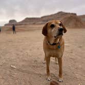 Review photo of Dispersed Campground - goblin valley by M H., April 25, 2022