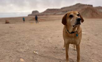 M H.'s photo of camping with pets at Dispersed Campground - Goblin Valley in Utah