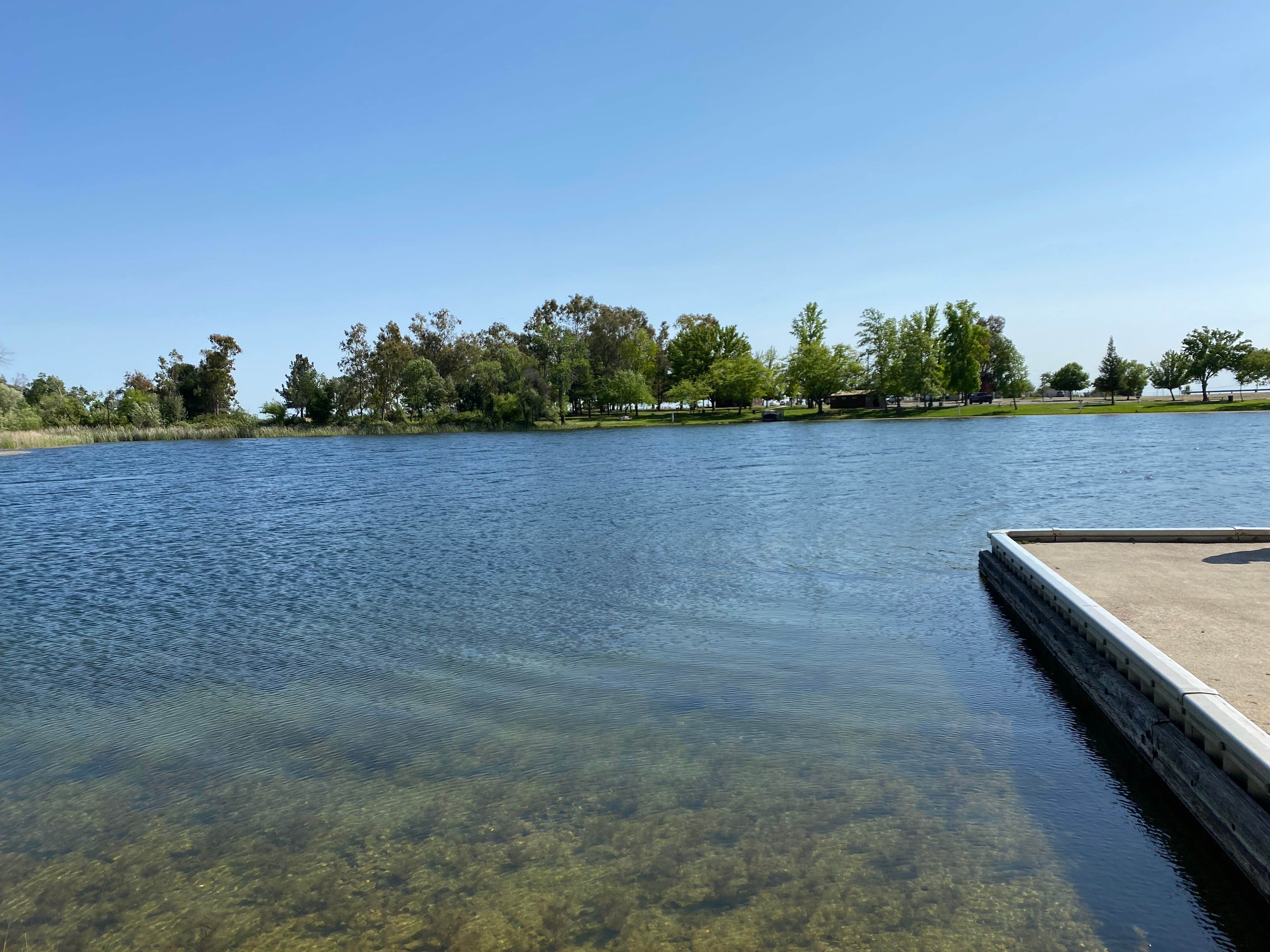 Camper submitted image from Rancho Seco Recreation Area - 2