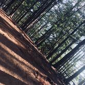 Review photo of Pawtuckaway State Park Campground by Rachel P., July 13, 2018