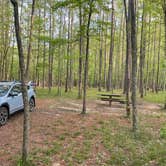 Review photo of Pine Glen Recreation Area by Bailey M., April 25, 2022