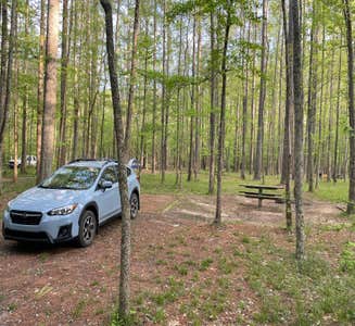 Camper-submitted photo from Pine Glen Recreation Area