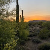 Review photo of Lost Dutchman State Park Campground by Kristina B., April 25, 2022