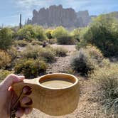 Review photo of Lost Dutchman State Park Campground by Kristina B., April 25, 2022