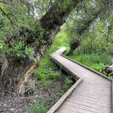 Review photo of Kelsey Creek Campground — Clear Lake State Park by Lee D., April 25, 2022