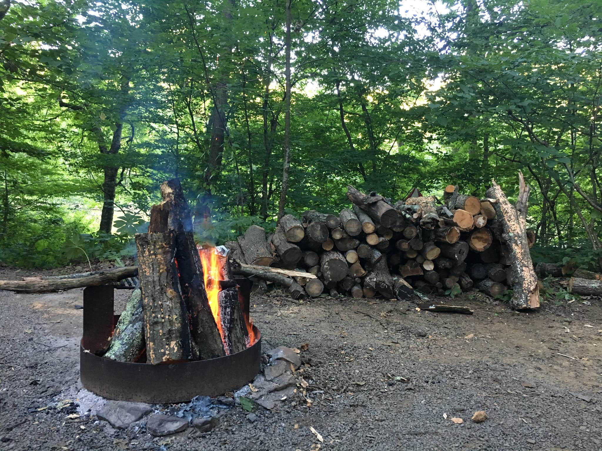robin B.'s photo at Tionesta Rec. Area Campground near Shippenville, PA