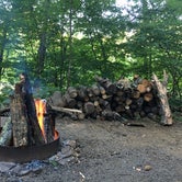 Review photo of Tionesta Rec. Area Campground by robin B., July 13, 2018
