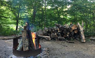 robin B.'s photo at Tionesta Rec. Area Campground near Sigel, PA