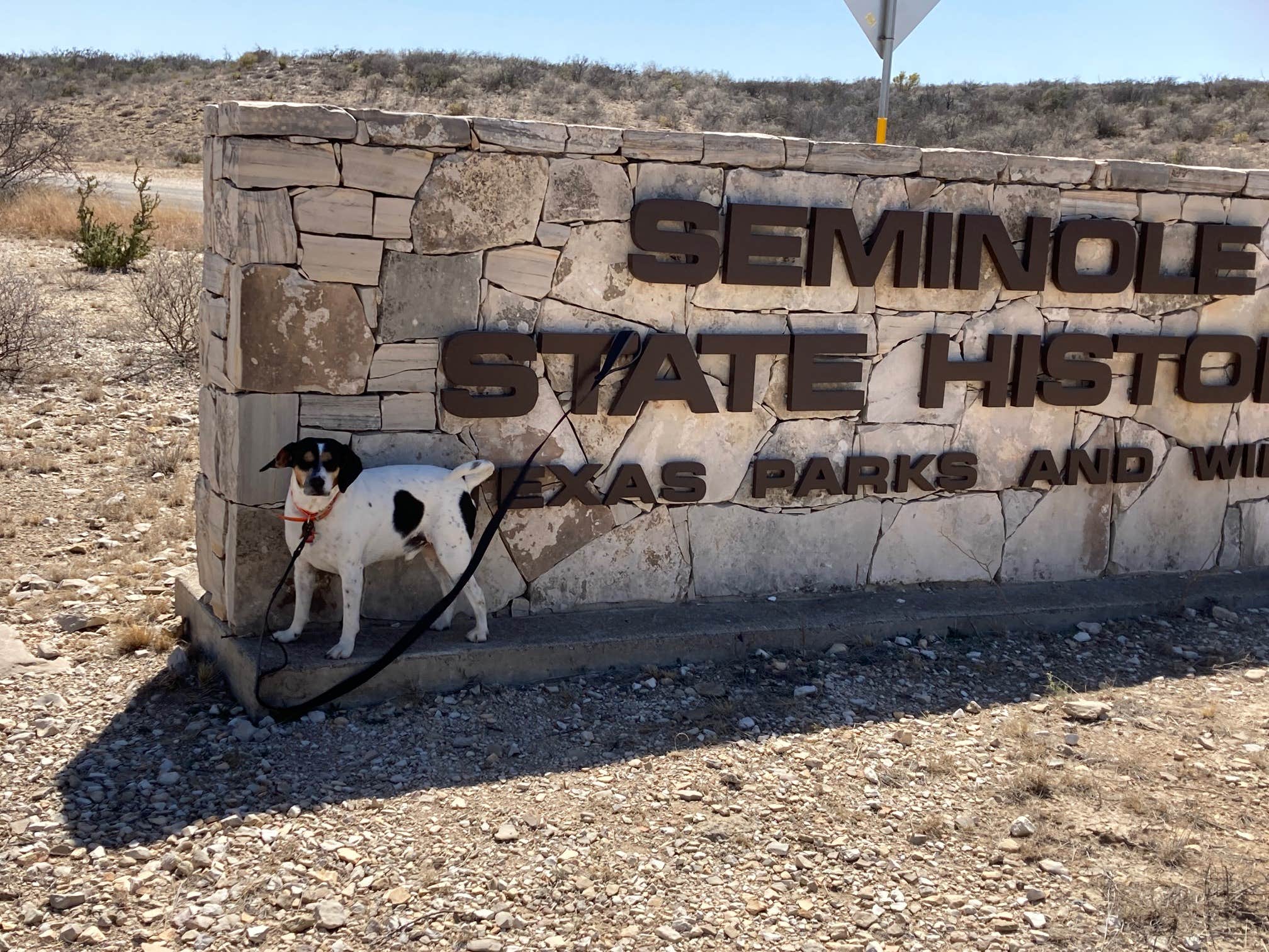 ROBERT J.'s photo of camping with pets at Seminole Canyon State Park Campground near Comstock, TX