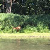 Review photo of Tionesta Rec. Area Campground by robin B., July 13, 2018