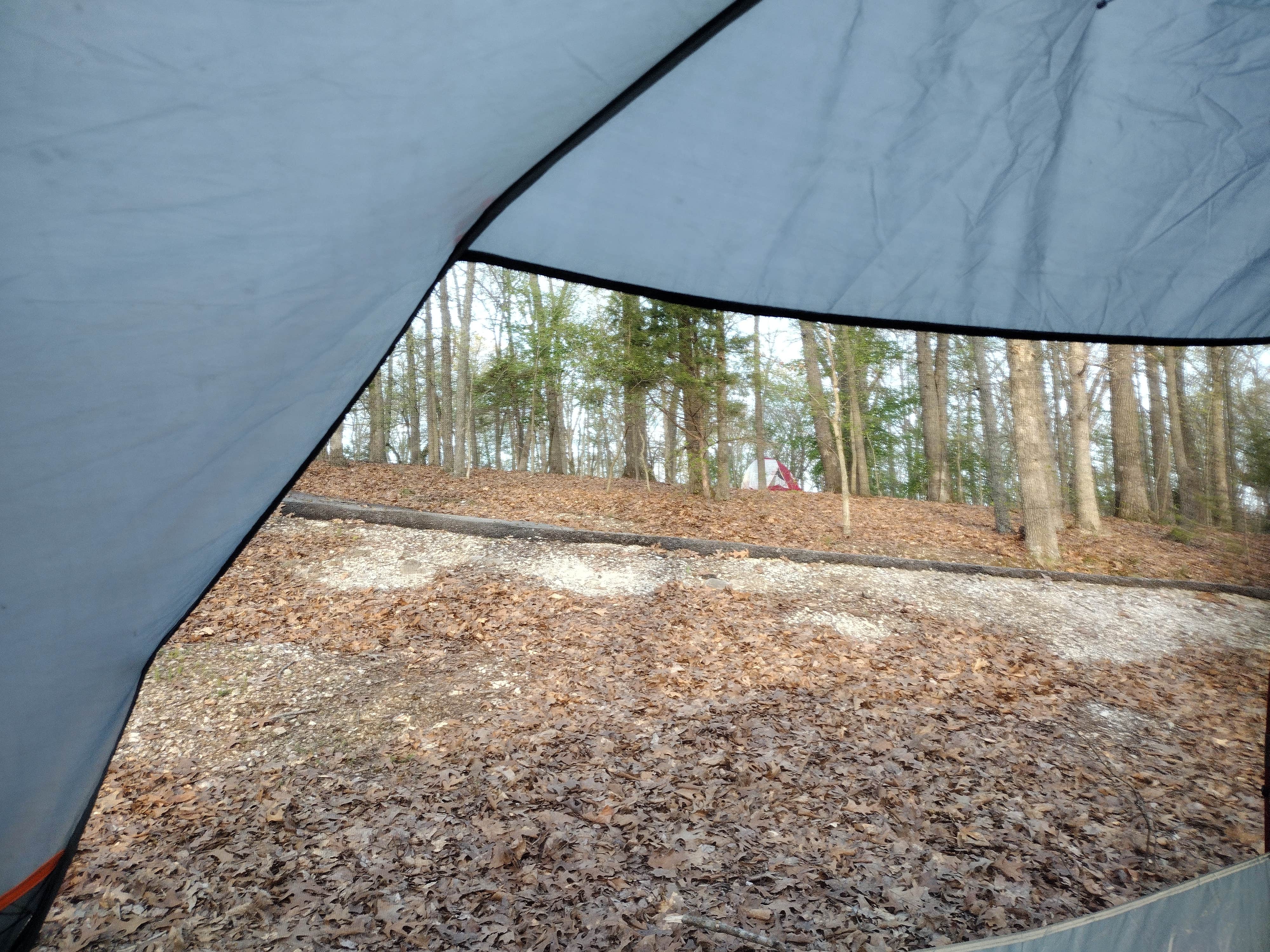 Erin-Frannie R.'s photo at Prairie Creek (AR) near Beaver Lake