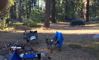 jim N.'s photo at Luther Pass near Twin Bridges, CA