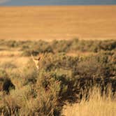 Review photo of Bridger Bay Campground — Antelope Island State Park by Morgan , April 25, 2022