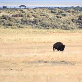 Review photo of Bridger Bay Campground — Antelope Island State Park by Morgan , April 25, 2022