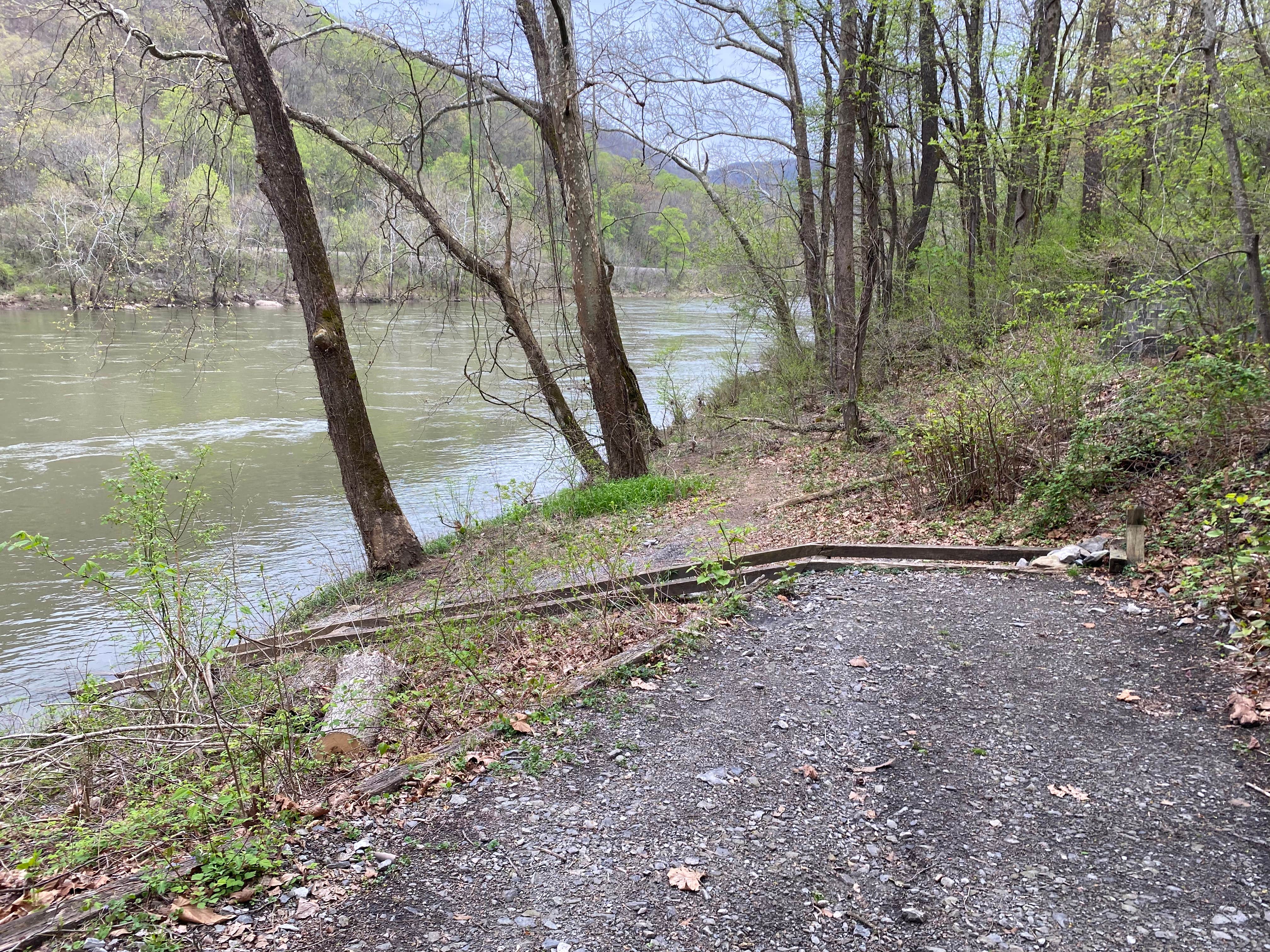 Camper submitted image from Brooklyn Campground — New River Gorge National Park and Preserve - 5