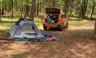 Camping near Lighthouse RV Park and Marina: Fell Hunt Camp, Abbeville, South Carolina