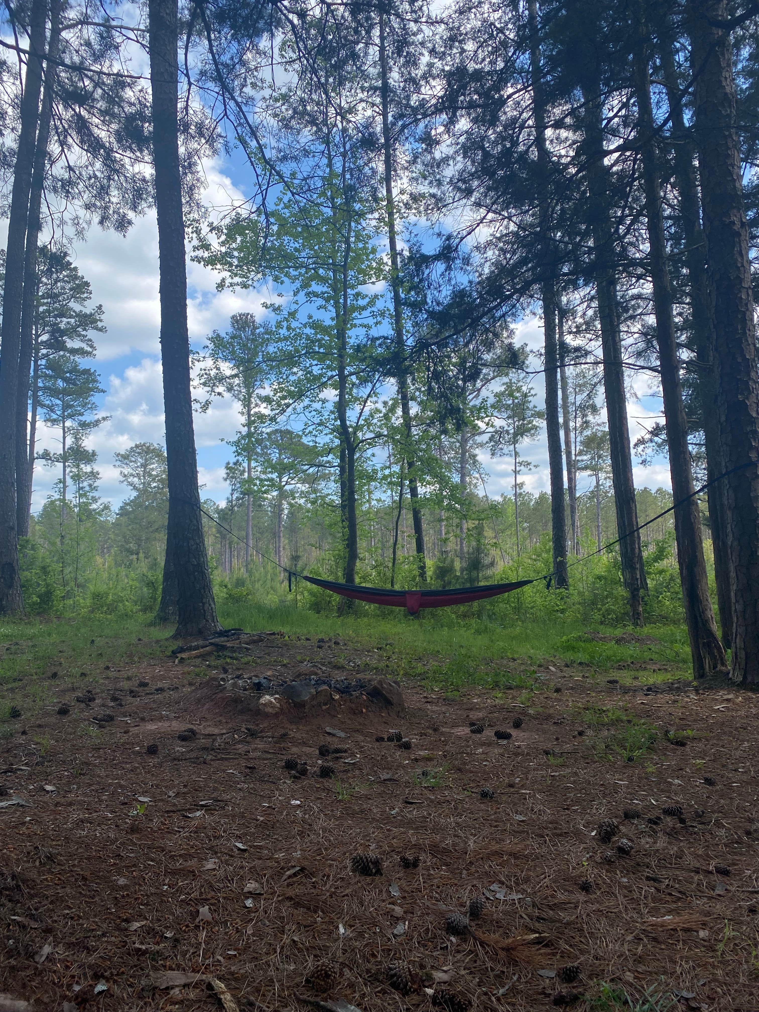 Camper-submitted photo at Fell Hunt Camp near Lincolnton, GA