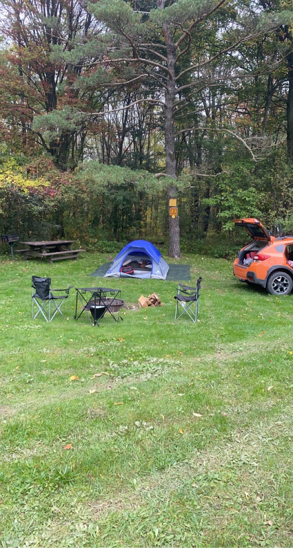Camper submitted image from Sugar Hill Fire Tower Campsite - 2
