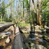 Review photo of Cosby Campground — Great Smoky Mountains National Park by Bill G., April 25, 2022