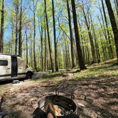Review photo of Cosby Campground — Great Smoky Mountains National Park by Bill G., April 25, 2022