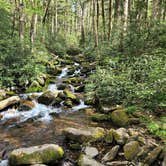 Review photo of Cosby Campground — Great Smoky Mountains National Park by Bill G., April 25, 2022