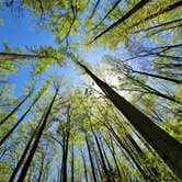 Review photo of Cosby Campground — Great Smoky Mountains National Park by Bill G., April 25, 2022