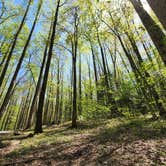 Review photo of Cosby Campground — Great Smoky Mountains National Park by Bill G., April 25, 2022